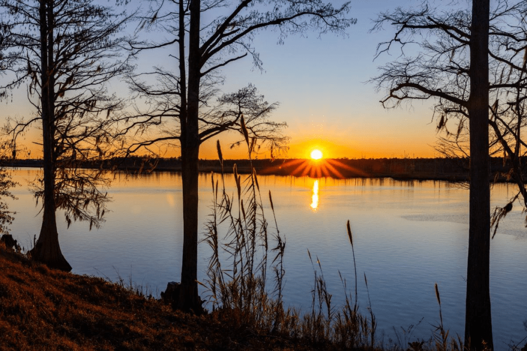 retiring to the coast wilmington nc coastal nc